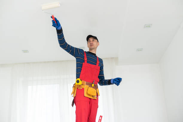 Trusted Rainbow, CA Dry wall and painting Experts